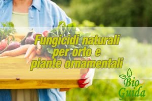 Fungicida naturale per l'orto