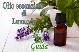 Olio essenziale di lavanda